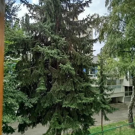 Apartment Uzivanje U Sarajevu Sarajevo